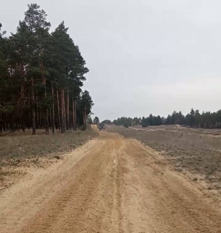 Голопристанский лесхоз проводит работы по устройству минерализованных полос в лесных массивах в рамках пожароопасного периода