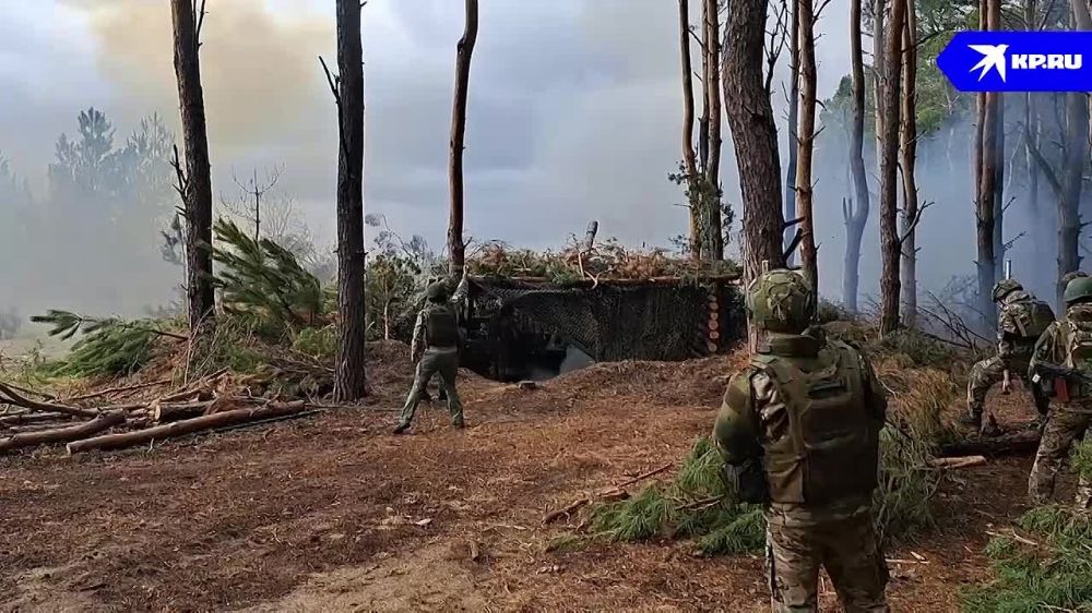 Точный удар артиллеристов: "Гиацинт" ликвидировал вражеский опорный пункт