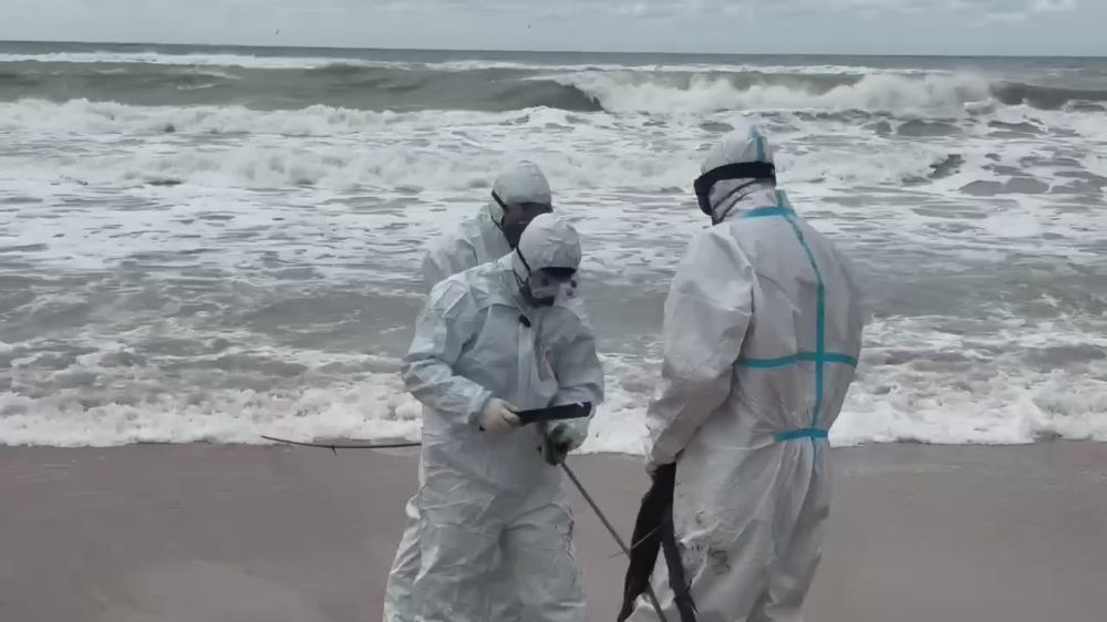 ��������� �� ���������� ������� ���������� ������� ���������� ��������� ���� �� ������, �������� �� �����