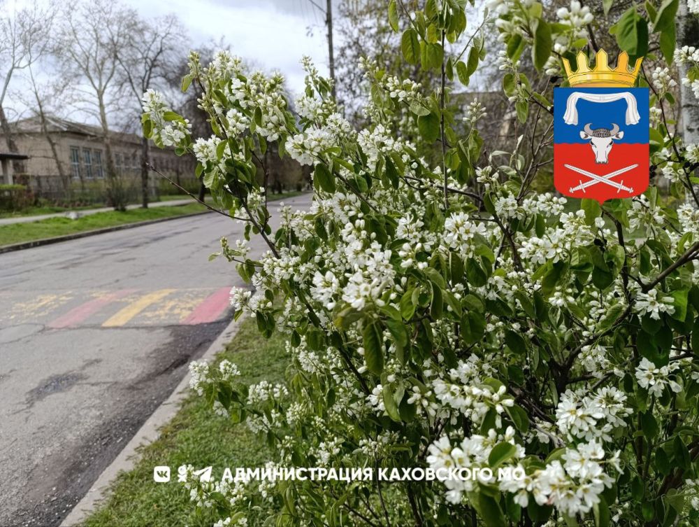 Доброе утро, жители Каховского муниципального округа!
