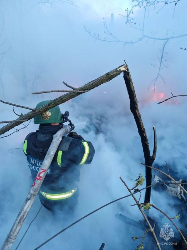 � ���������� ���������� � ������� ����������� ������������ ������ ����� ������� ������