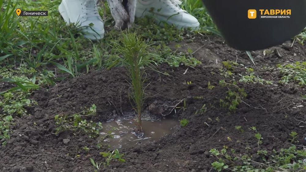 В Геническе состоялась экологическая акция "Семейный лес"