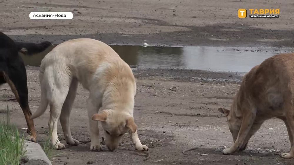 � �������-���� ������ ���� ������ ��������� ��������, ������� �������� ������