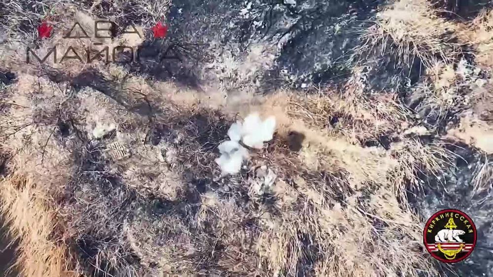 ��� ������: ���������� �����������. ������ ���� ���� 61-� ��������� ����������� �������������� ������������ ������� ������� ������ �� ����������� ����� �� ������ ������ ������