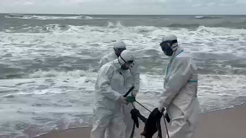 ������� �� ����� ���������� ������� ���������� ������� ������ �� ������ ������������� �����