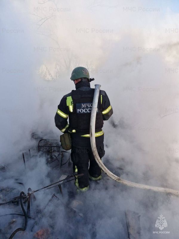 �������-������������ ������������� ������������� ���������� � ����������� ������