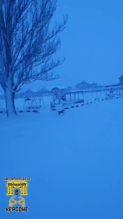 ����������� ���������� ��� �������! � �������� ������, � ������ ���������� �����, ����� ���������� ��������� ������ ������, ������ �������� �� ������� ������������ �������