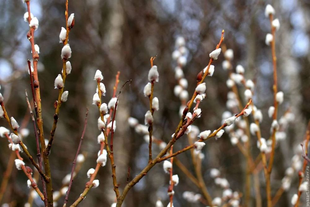 �������� ������: ������� ���������� ��������� ������� ����������� � ��������, � ������� ����������� ������� �������� � ������ �������