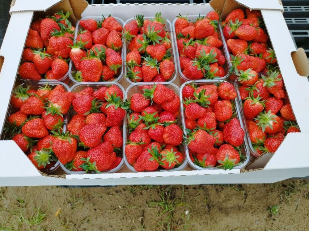 � ��������� ������ ����� ������� ���������� ����� ����� ��������