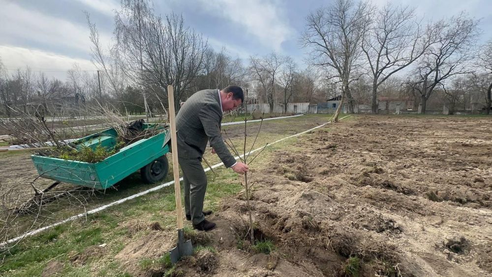 В городе Таврийск разбивают новый парк