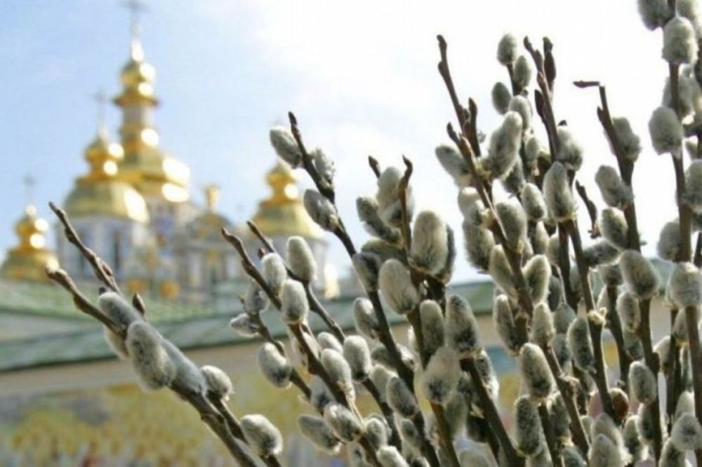 ����� ����������: ������� ������!. ���������� ���� ������������ �������� � ������� ������������ � ������� ���������� ����� �������� � ���������