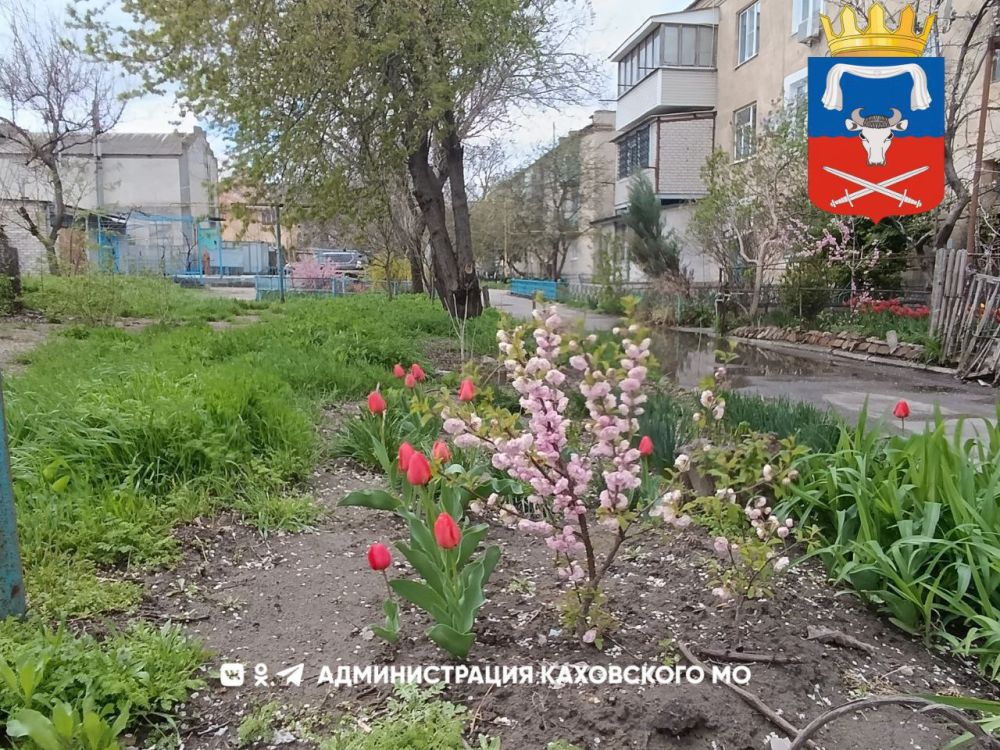 ������ ����, ������ ���������� �������������� ������!