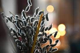 ������� ������� �����������