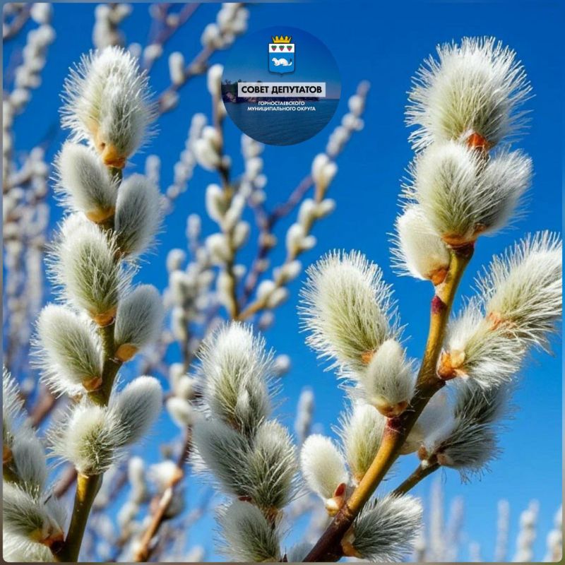 ������� �����������. ������� ������������ ������� � ��� �������� ��������� ������� �����������, ��� ���� ��������� � ��������� - ���� �� 12-� ������� ��������� ����������