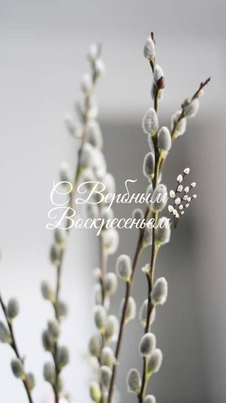 � ������� ������������!. ������� ����� ��������� ������������ � ������� ������������! ���� ������� ��������, ������������ ��������� �������, ��������� ���� ������ ��������, ����� � �������