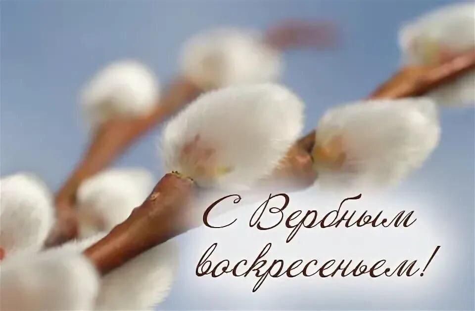 ������� �������: ������� �������!. �������� � �� ���� ���� ���������� ���� ������������ �������� � ���������� ������� ���������� - ������� ������������! ����� ������� �����, ���������� ������� � ����� ������, �������� � ����...