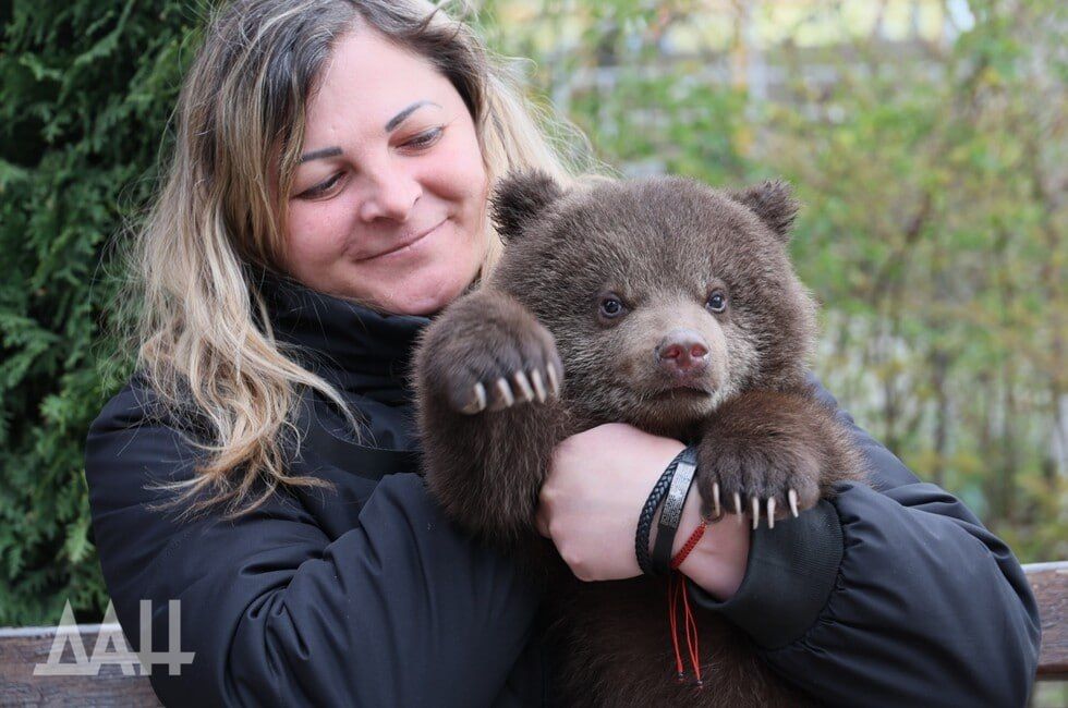 ����� � ���������. � ������������� �������� �������� ������� ��������