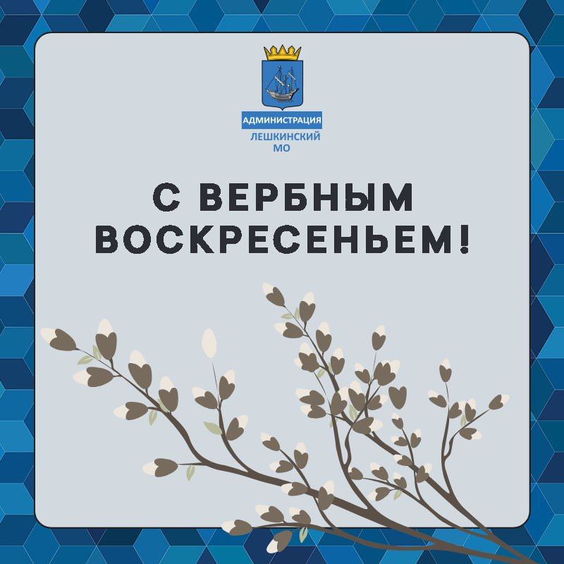 Дорогие жители Алешкинского муниципального округа!