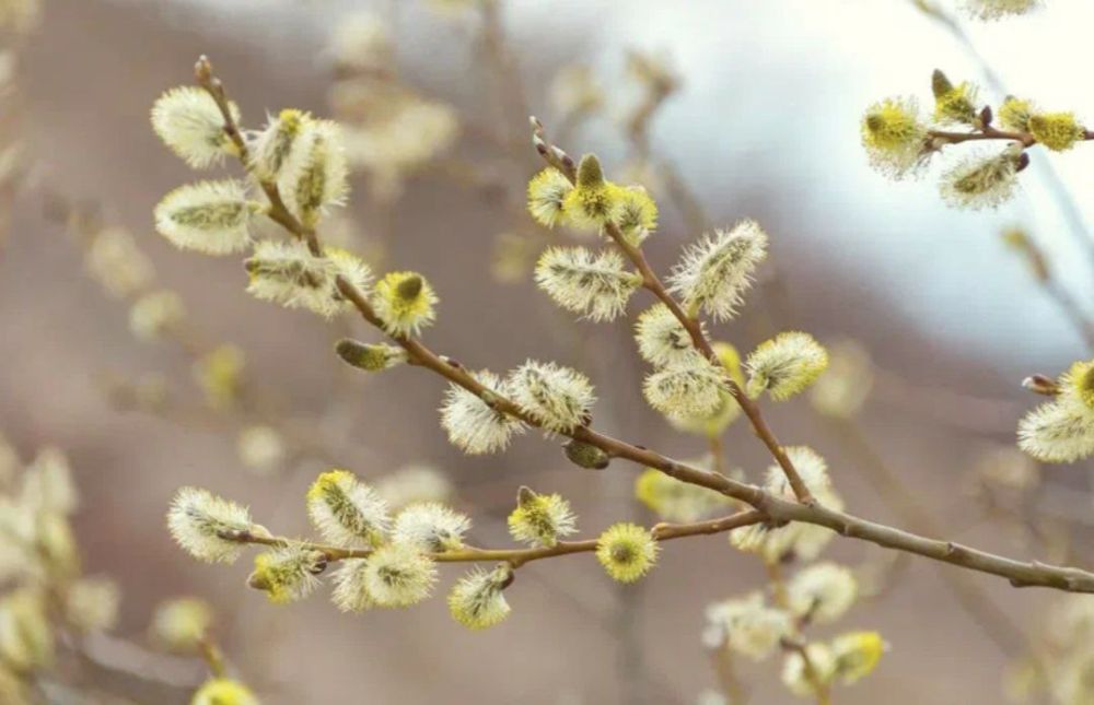 ������� ������� �����������!