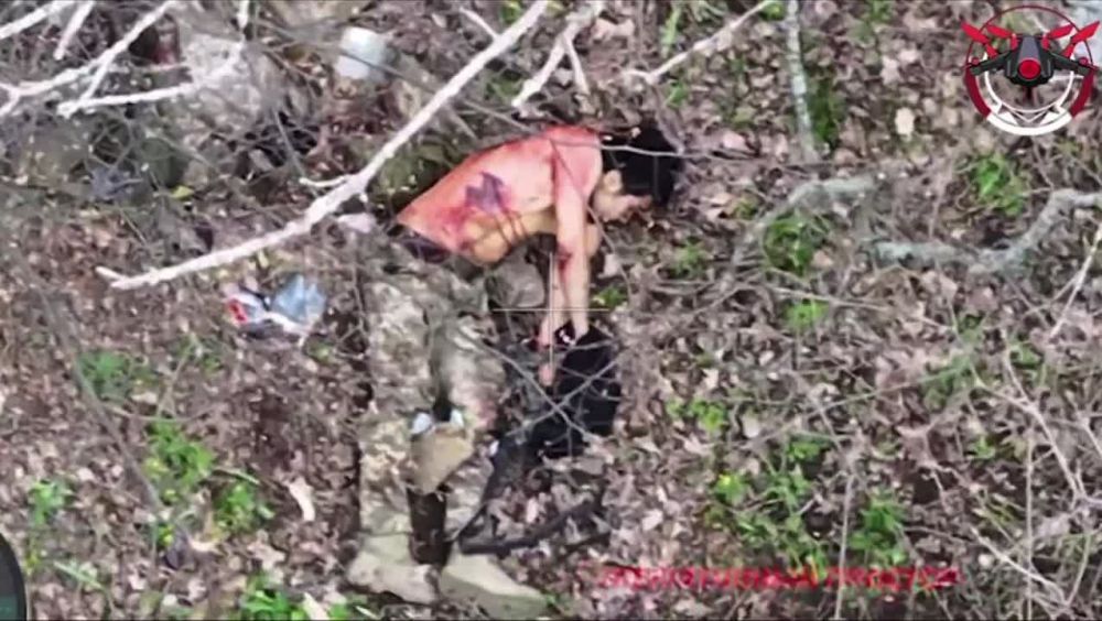 ������� ����� � ������� ��� ������ ������� ������������, ��������� �����������