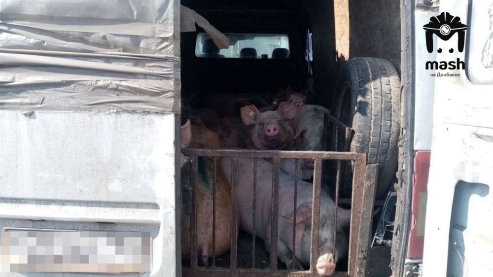 ������ ��� ������ ����? ������ ���������� ���������� � ���������� �������, �� �� �� ������ ����������������