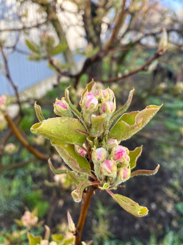 ������ ���� ����!. ������������ �������������� ������! � ����������� ��������� ����������! sd_kakhovka.khogov.ru