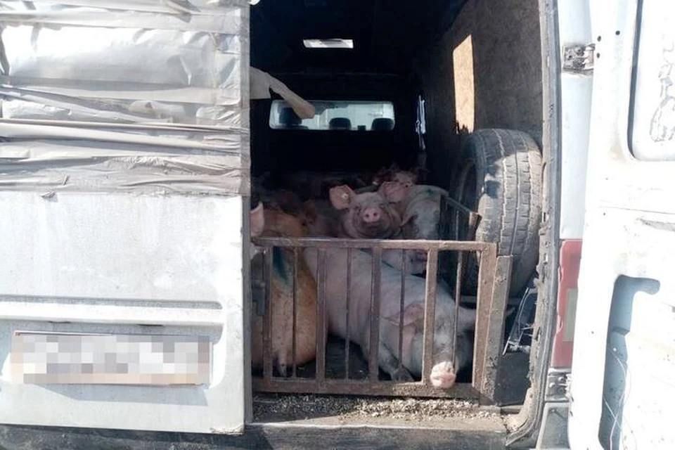 � ���������� ������� �������� ������� 22 ������ ��� ������������ ����������