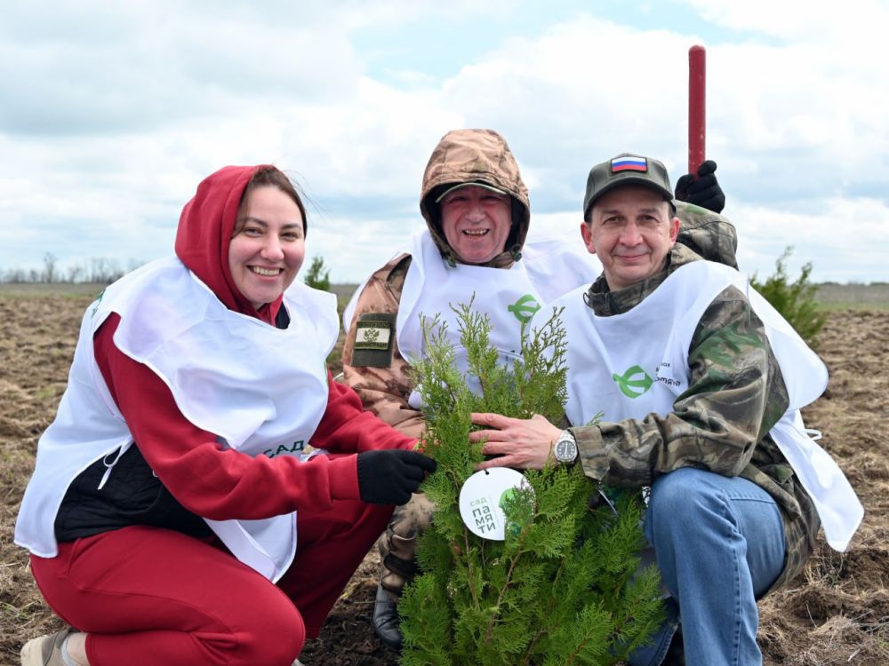 ������ � ������������ ������������ ������������� ���������� ������� ����������� ��������, ��������� ��������� ��������, �������� � ����������� ���������� ������� �������� ������������, ������ ������������� ��������������...