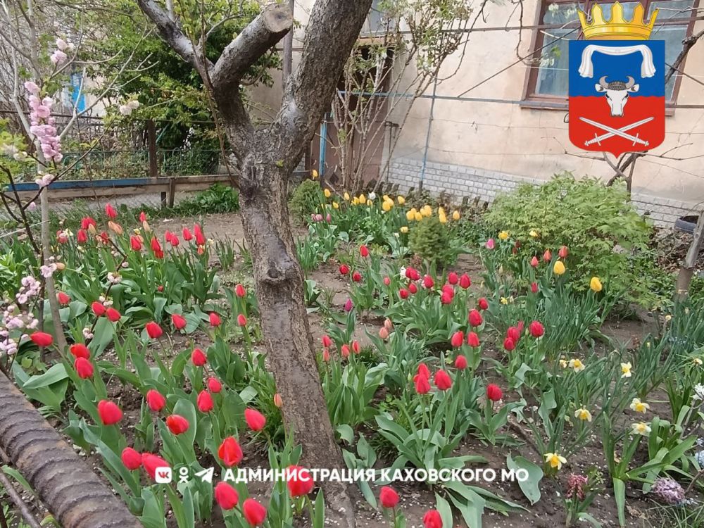 ������ ����, ������ ���������� �������������� ������!