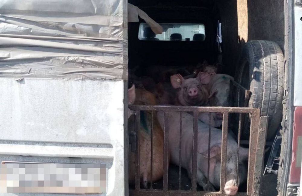 ���������� ��� �������� ���������� � ���������� �������