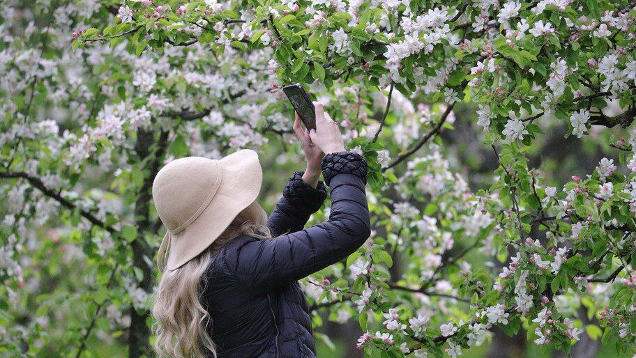 �� �������� �����, ������ ����� ����