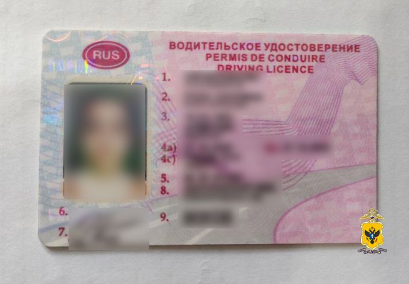 � ���������� ������� ����������������� ������� ��������� ���� ������������� ����������� ������������� �������������