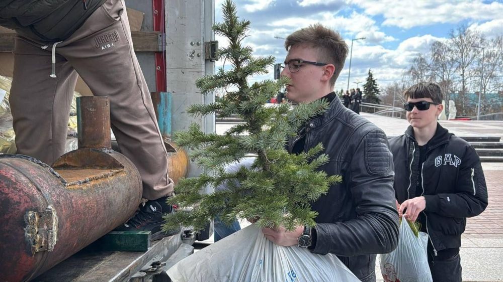Из Ульяновска в Херсонскую область направили саженцы хвойных деревьев