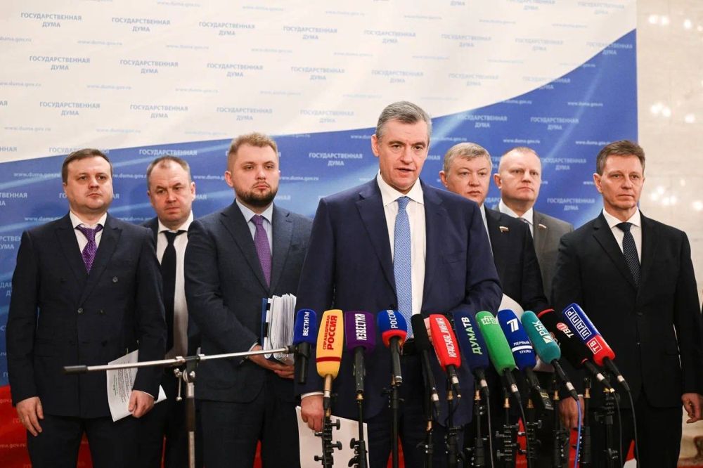 ЛДПР предложила запретить мигрантам оформляться в качестве самозанятых