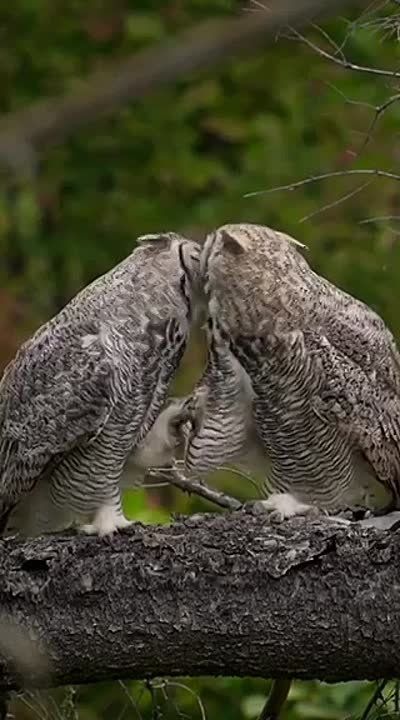 ������.. ����, ������� �������� � �����������! ���������� ����������