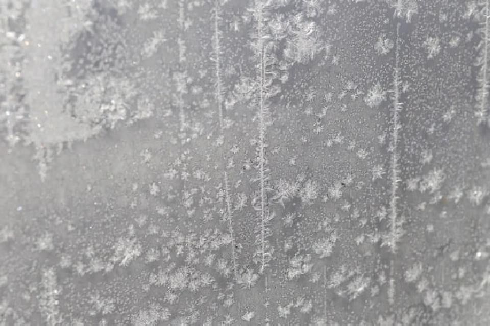 Херсонскую область 15 апреля накроют заморозки