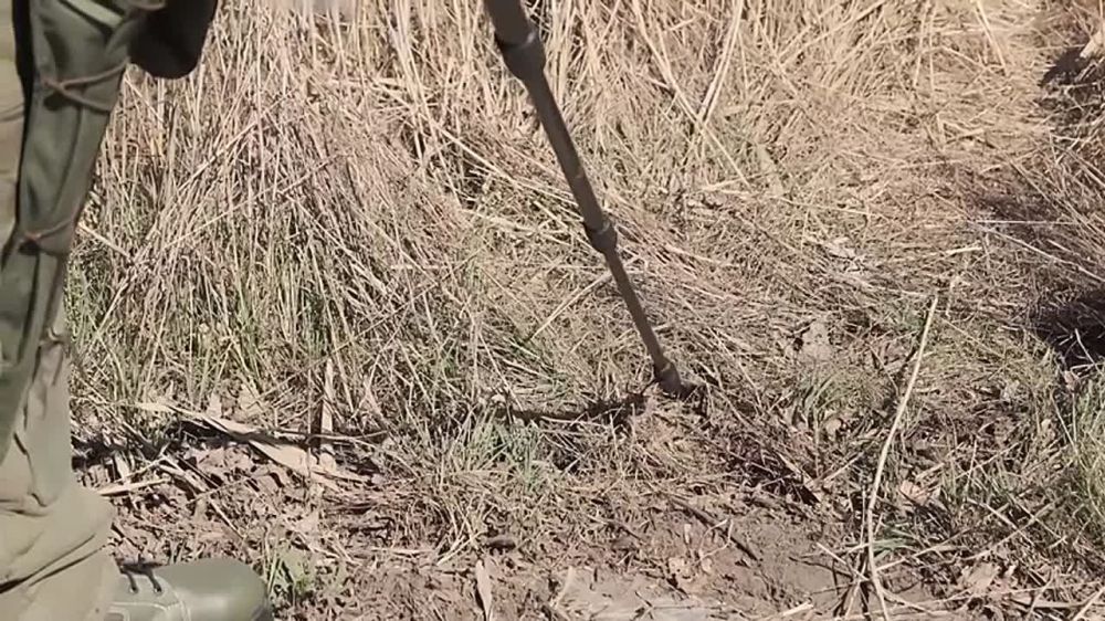 ���������� ����� �������� ����� ������ �� �������������� � ���� ���