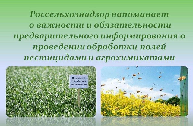 Уважаемые сельхозпроизводители Великолепетихского муниципального округа!