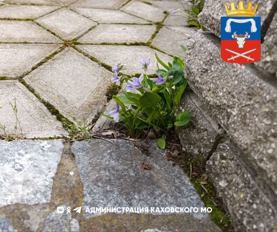 Доброе утро, жители Каховского муниципального округа!