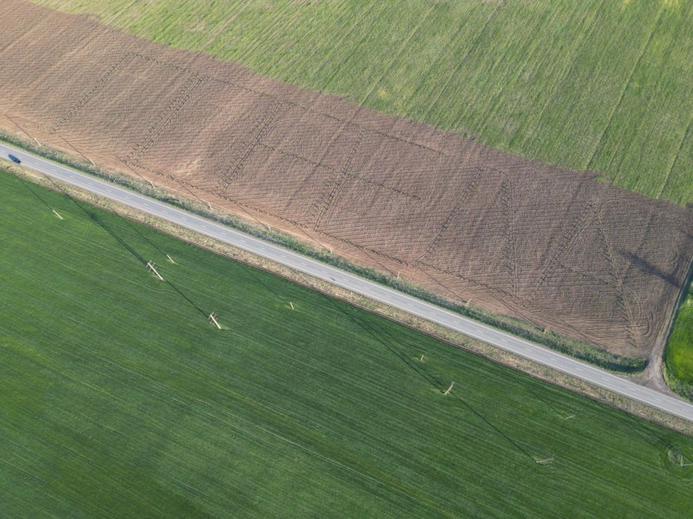 В Херсонской области в рамках акции «Сад памяти» высадили 540 саженцев туи, образующих слово «Победа» на площади 3,5 гектара