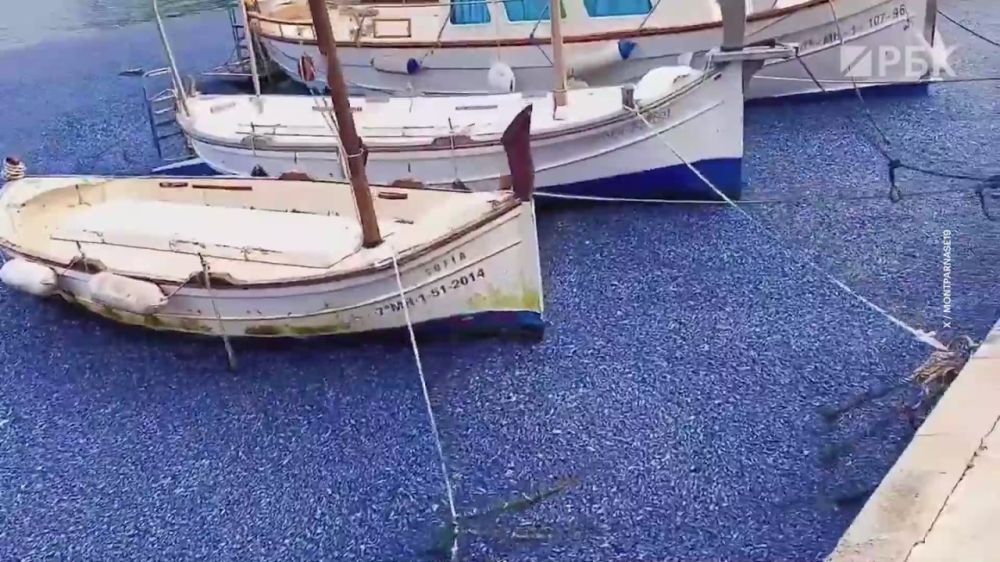 Ирина Куксенкова: На какую дату запланирован первый авиарейс в Абхазию, США не могут разобраться в отношении к России, почему Китай больше не покупает Боинги, – дневная сводка 15 апреля: