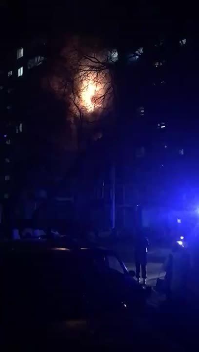 Олег Царёв: 115 украинских БПЛА уничтожила/перехватила ночью ПВО: 109 – над Курской обл, 3 – над Воронежской, по одному – над Московским регионом, Брянской и Орловской обл