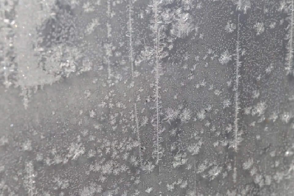 Херсонскую область 15 апреля накроют заморозки