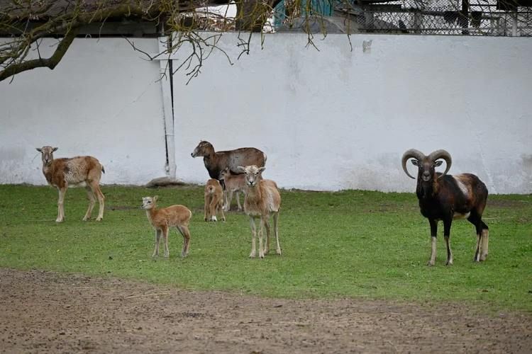 ����� ������ � �������� ����� ���������: � ����������� ��������-���� �������� ��� �������������� ������ ��������