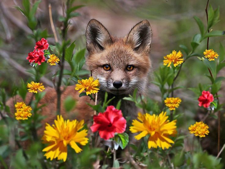 . ����� � ������� ����� � ����� , ������ ������ � �������