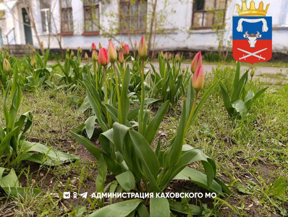 ������ ����, ������ ���������� �������������� ������!