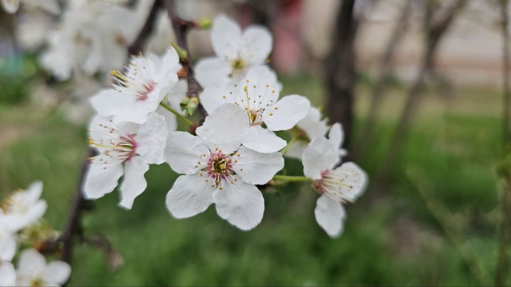 � ���������� ������� 16 ������ ����� �����