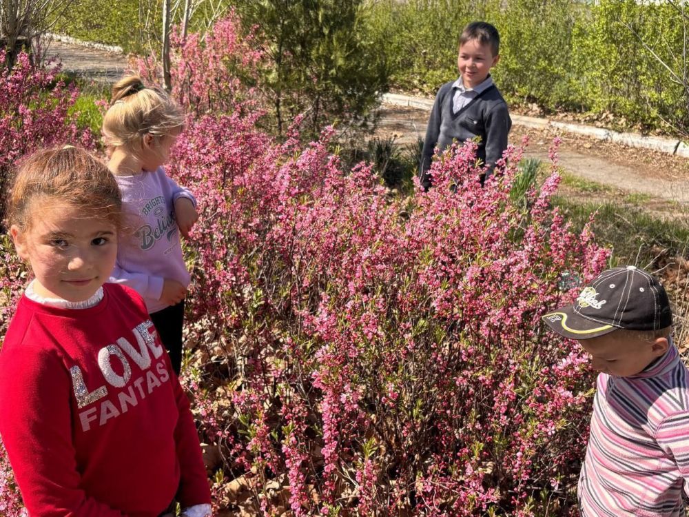 В селе Каменка прошел увлекательный познавательный час, организованный работниками культуры совместно с детьми!