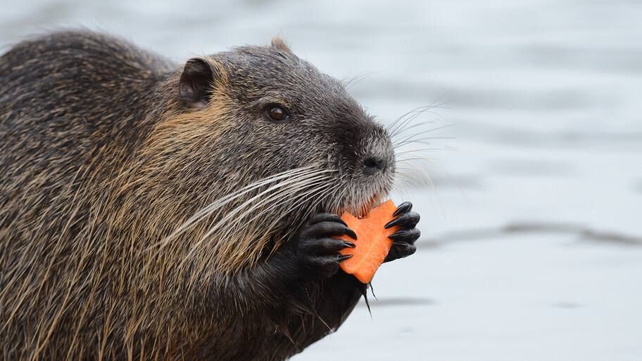 ����� �����. ����������� ��������� ��������� � ������ ������� �� 30%