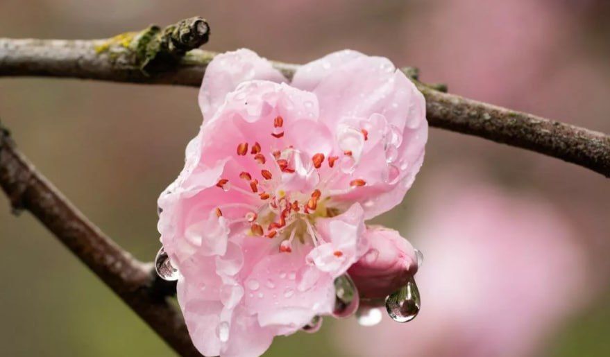 ������ �� ����� ����������� ������